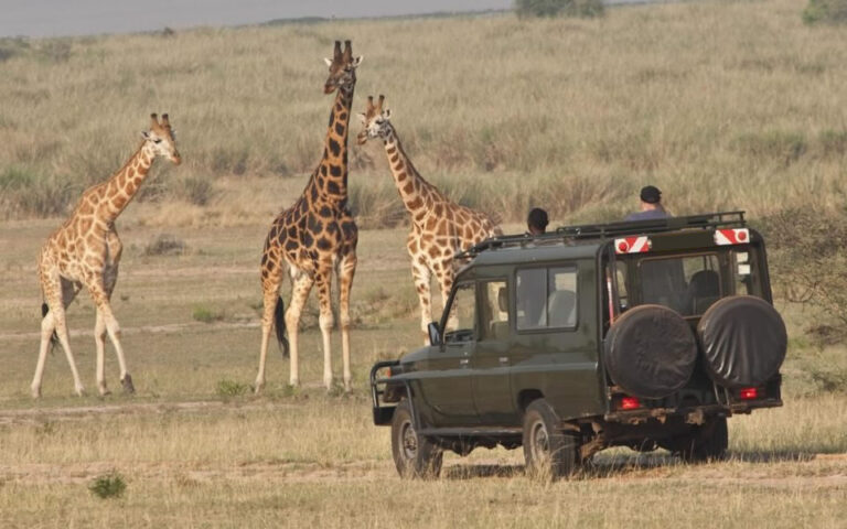4x4 safari uganda