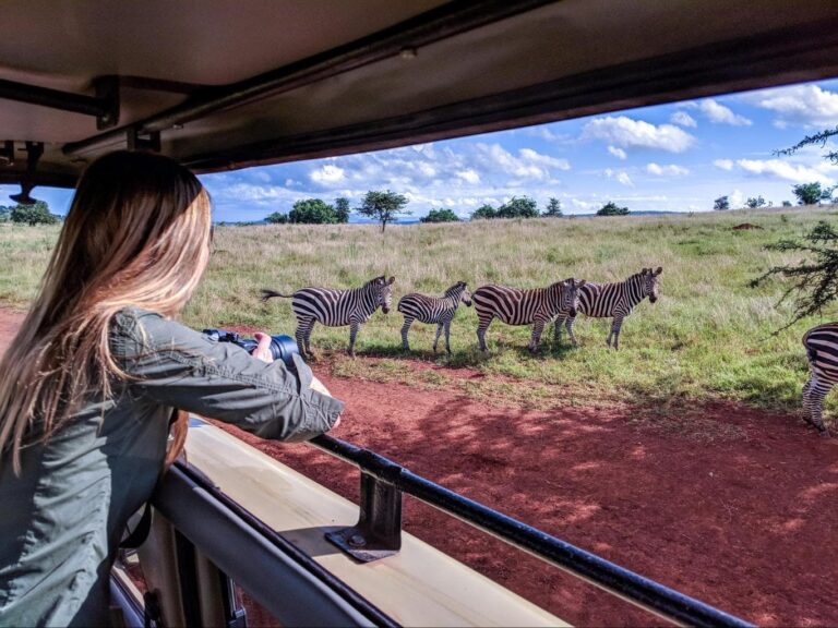 Game drives in Uganda