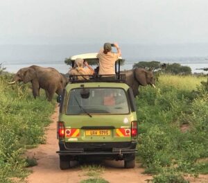 game drive murchison falls park
