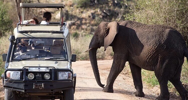 game-drive-safari-750x400