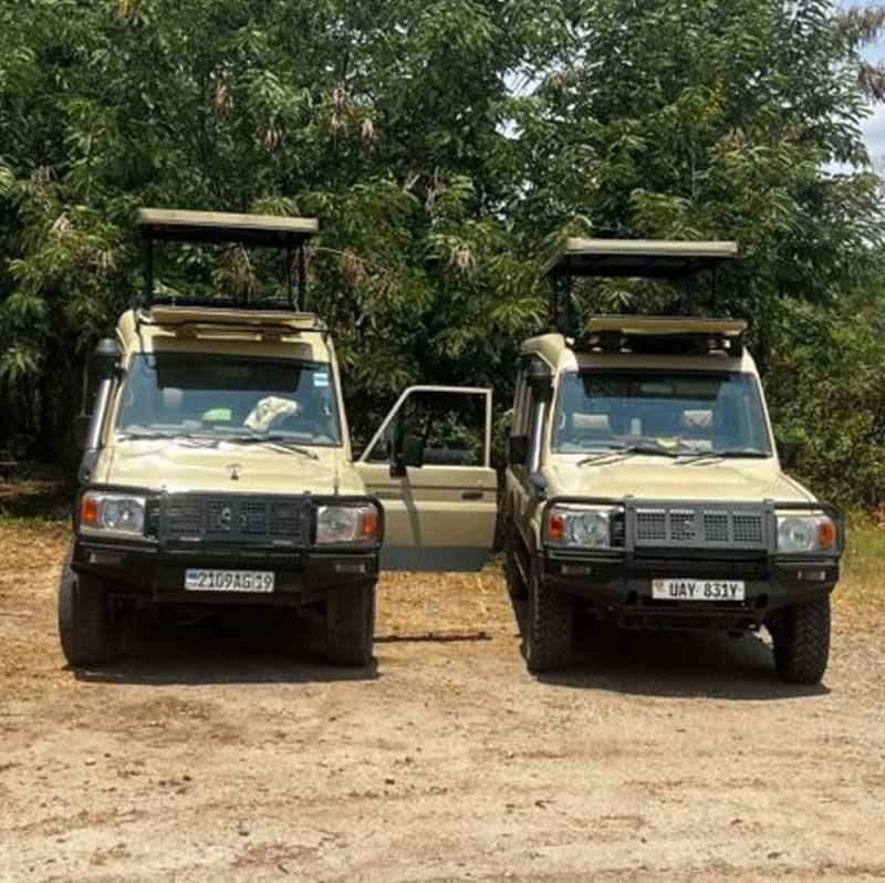 safari land cruisers