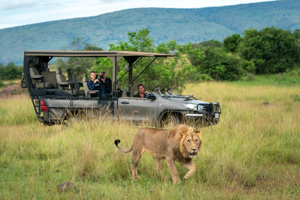 Game drives in Akagera