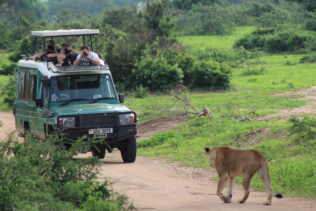 Rent car for national park safari