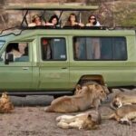Uganda Safari Packages: Explore with Pearl Drive Car Rental