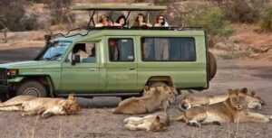 GAME DRIVE