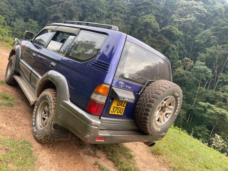 tx UAZ BLUE
