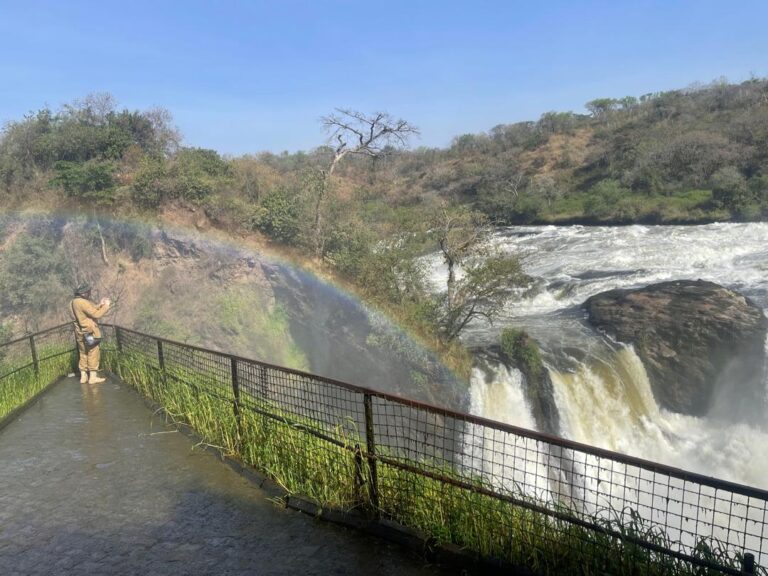 waterfall murch