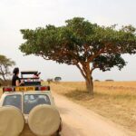 SAFARI MBURO