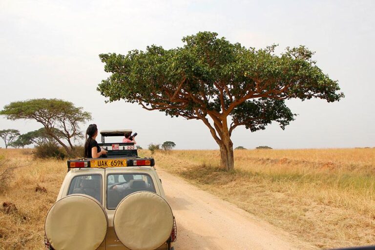 SAFARI MBURO