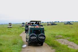 GAME DRIVE LANDCRUISER