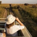 game drive queen elitherbeth
