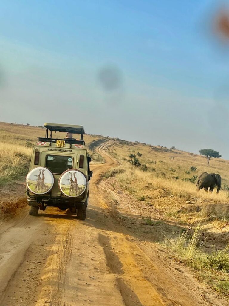 landcruiser for hire in game drive