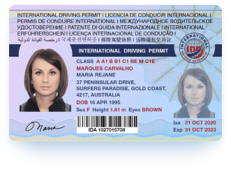 international driving licence
